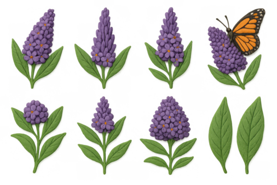 Butterfly and lavender flowers collection with green leaves