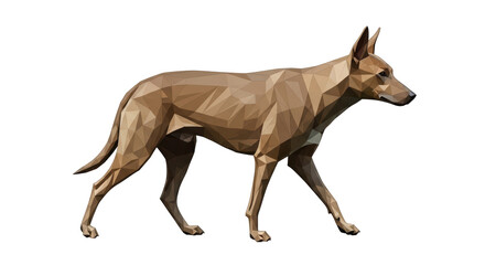 Isolated Dog