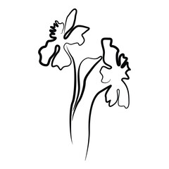 Minimalist line art flower illustration with abstract floral outline design for elegant tshirt print botanical artwork and modern graphic tee