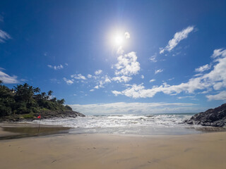 Sunny Tropical Beach with Ocean Waves and Palm Trees