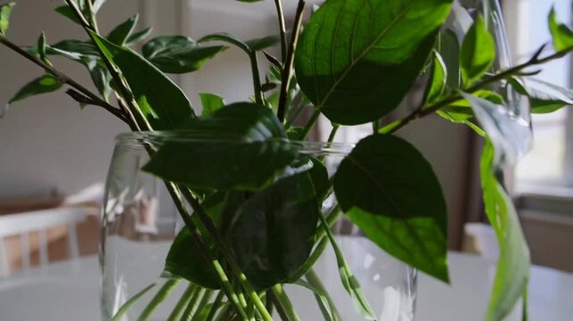 Domestic Setting Adorned with Vased Foliage on Pale Table