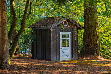 2025-08-26 A SMALL BROWN WOODEN SHED WITH A WHITE DOOR IN ROBINSWOOD PARK IN BELLEVUE WASHINGTON