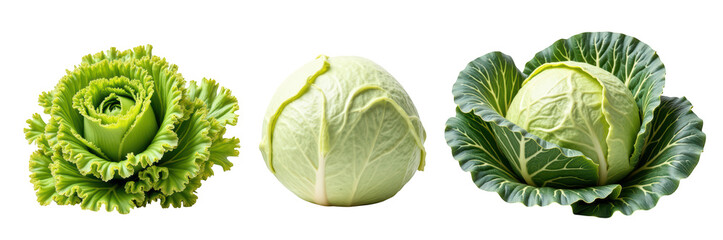 Obraz premium Fresh green cabbage leafy vegetable organic produce healthy food raw ingredient natural vegetarian cooking salad nutrition farm harvest garden