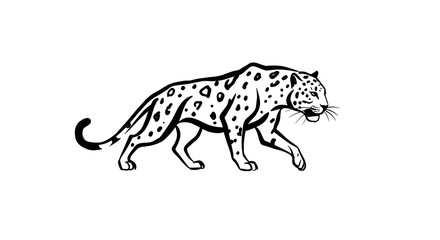 Fototapeta premium Elegant black and white leopard illustration walking with confidence on a clean white background