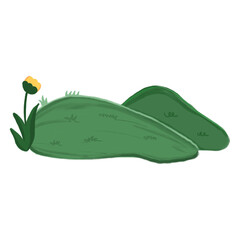 vector illustration of a green grass