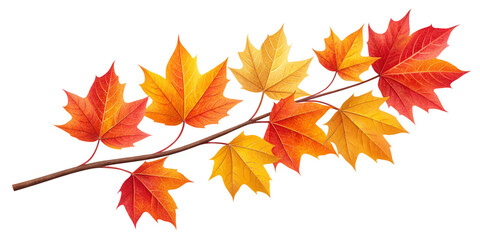 Fototapeta premium Vibrant Autumn Leaves Branch in Orange, Yellow, and Red on Transparent Background Delicate Fall Foliage Branch, Colorful Seasonal Leaves Isolated on Transparent Background