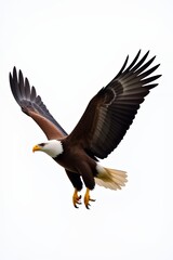 ** Majestic Bald Eagle in Flight