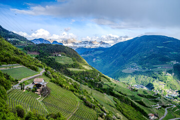 The rolling hills in Santa Maddalena, Rencio district in Bolzano. South Tyrol region, Italy, Europe.