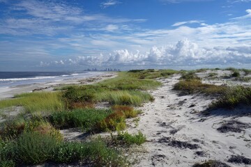 Coastal landscape with grassy dunes and sandy beach under a bright, cloudy sky