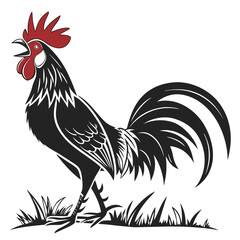 Rooster Illustration Vector