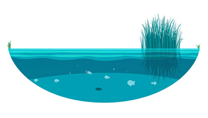 Stylized cross-section of a pond with plants, fish and clean transparent water illustrating