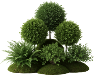 Topiary garden arrangement with spherical and rounded shrubs fern and mossy mounds Plant Green Bush Foliage transparent background