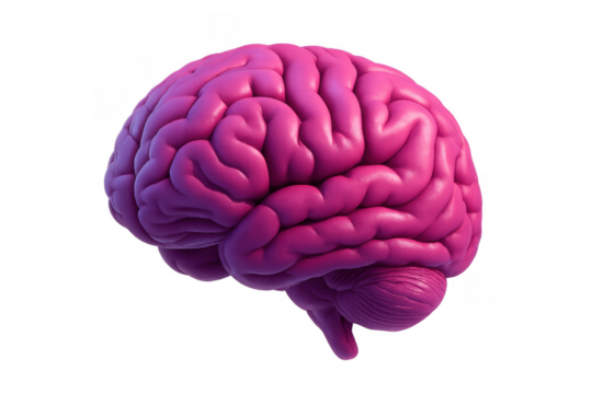 Pink Brain Isolated on Transparent Background Representing Creative Thinking