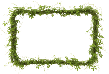 Green vine rectangular frame with delicate leaves isolated on black nature plant border transparent background transparent background