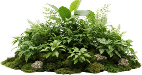 Lush green ferns large elephant ear leaves and moss covered rocks create a jungle like plant arrangement transparent background