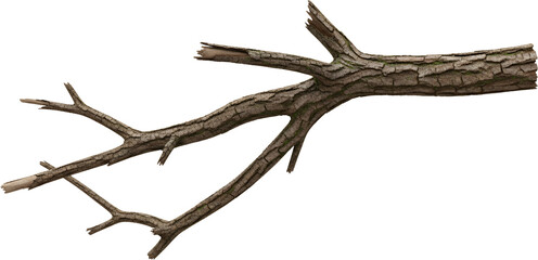 Fototapeta premium Detailed view of a rough textured tree branch with small green moss patches isolate wood bark texture