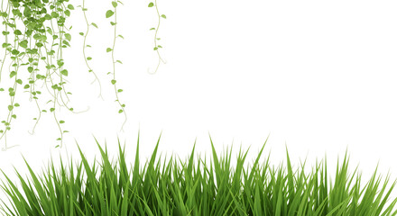 Obraz premium Lush green grass sprouts from the ground with delicate green vines hanging from above isolate blades of grass