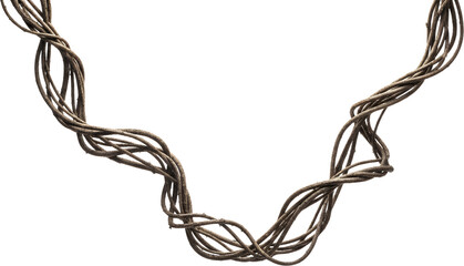Thick tangled brown vines twisting and curving across a dark background isolate nature plant organic