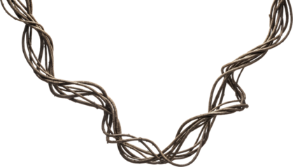 Thick tangled brown vines twisting and curving across a dark background isolate nature plant organic