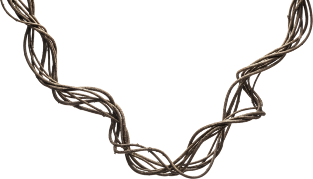 Thick tangled brown vines twisting and curving across a dark background isolate nature plant organic