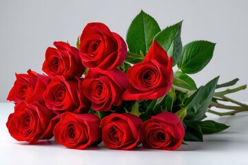 Obraz premium Vibrant red roses arranged beautifully on a light surface create a stunning visual that captures the essence of love and celebration