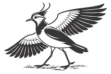 Obraz premium Lapwing sihouette black vector