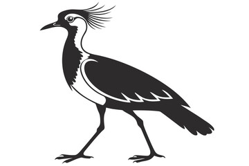 Fototapeta premium Lapwing sihouette black vector