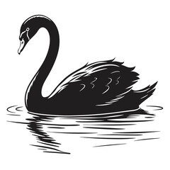 black swan vector illustration