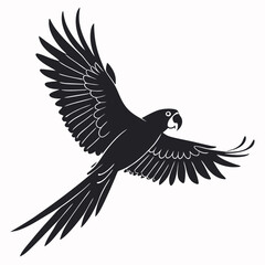 eagle on white background