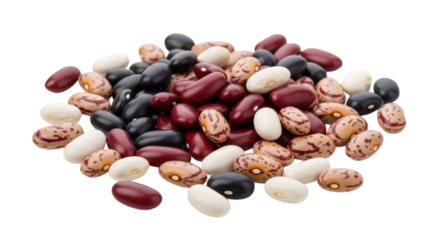 Variety of colorful beans isolated against a solid black background