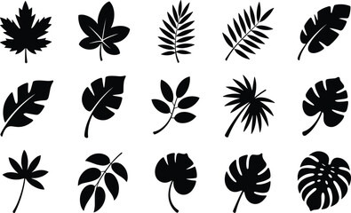 Leaf silhouette set, botanical illustration, plant shapes, minimal vector style, black solid color, nature design, foliage grid, flat icons
