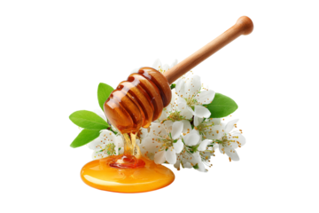Honey dipper with flowing honey and white flowers isolated on transparent background