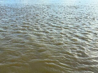 Ripples create subtle patterns across the expansive water surface on a bright afternoon revealing nature