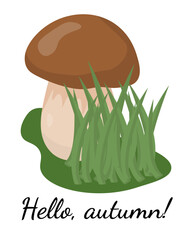 Hello, autumn, Postcard with a mushroom in the grass for design