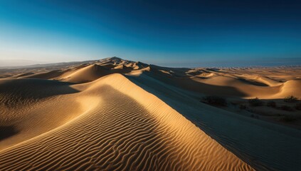Vast desert dunes under a clear blue sky