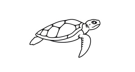 hand drawn turtle, baby turtle drawing, turtle black and white, realistic turtle drawing, turtle simple sketch, turtle design, turtle coloring page, turtle hand sketch, turtle line art, turtle with sh