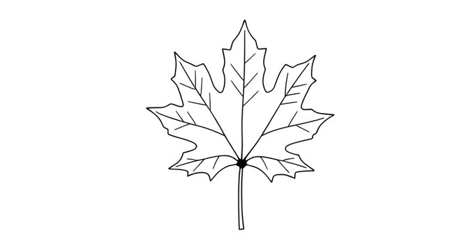 fall maple leaves, red maple leaf, orange maple leaves, yellow maple leaf, dried maple leaves, colorful maple leaves, autumn foliage, maple leaf background, maple leaves isolated, maple leaves vector,