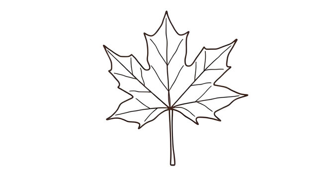 autumn maple leaves, fall maple leaves, red maple leaf, orange maple leaves, yellow maple leaf, dried maple leaves, colorful maple leaves, autumn foliage, maple leaf background, maple leaves isolated,