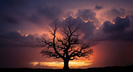 Dramatic Lightning Storm Behind Silhouetted Leafless Tree at Sunset