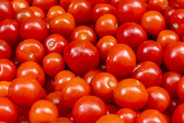 Simple descriptive title. Vibrant harvest of juicy red tomatoes in natural light representing healthy eating organic farming and seasonal produce.