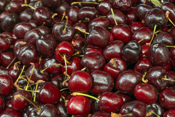 Sweet ripe cherries with stems. Closeup of fresh red cherries with stems showcasing juicy texture seasonal produce and organic fruit perfect for food background and vegetarian themes.