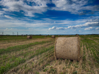 Hay bales on a sunny field with clouds in the sky. Summer rural landscape with hay rolls and blue sky