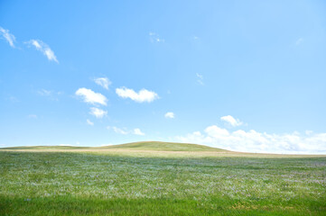 Vast green meadow under a bright blue sky with fluffy white clouds a gentle rolling hill in the distance