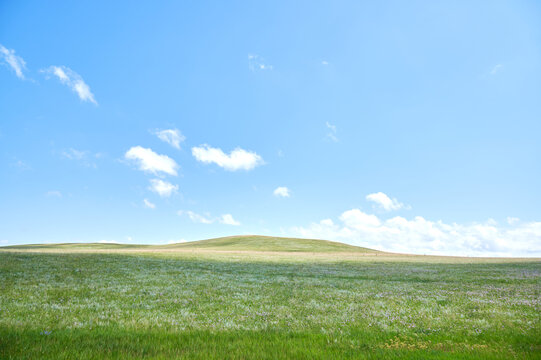 Vast green meadow under a bright blue sky with fluffy white clouds a gentle rolling hill in the distance