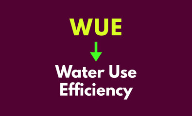 WUE Meaning, Water Use Efficiency