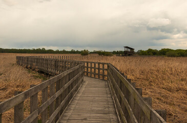Paths along Narew National Park. Cloudy day.