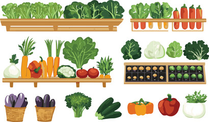 Set of vegetables and herbs in pots vector illustration