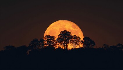 Obraz premium Full orange moon over trees