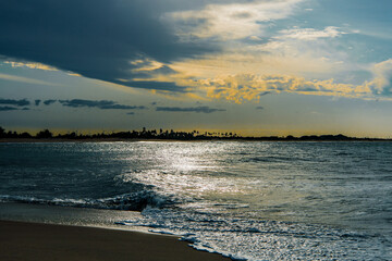 Dramatic ocean view with cloudy sky and palm tree silhouette at sunset.