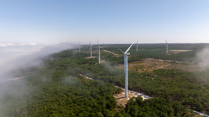 Wind turbines rising above a misty forest in Nazare, Portugal, symbolizing sustainable energy production and environmental conservation